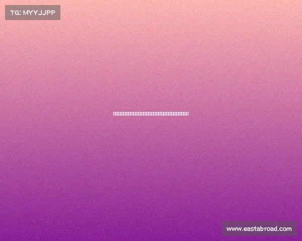 聚焦宝马征战全球顶尖赛事车型家族，揭秘速度传奇与工程科技突破